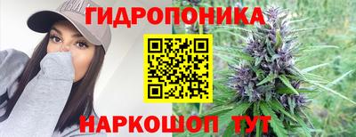 хмурый Кинель