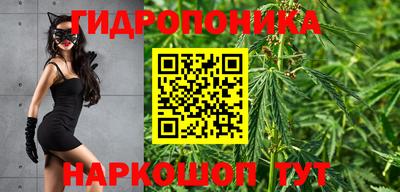 хмурый Кинель