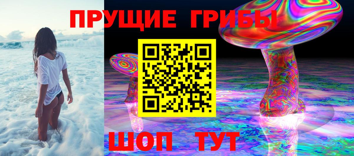 Гашиш Владимир