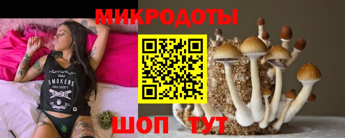 Псилоцибиновые грибы GOLDEN TEACHER  Вход с VPN  Галлюциногенные грибы мицелий  Владимир 